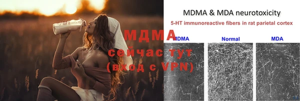 мдпв Семилуки