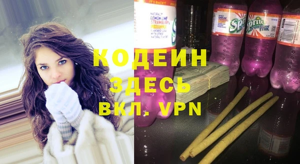 мдпв Семилуки