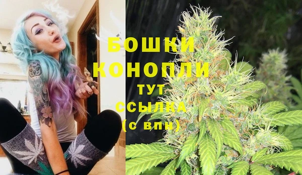 PSILOCYBIN Абдулино